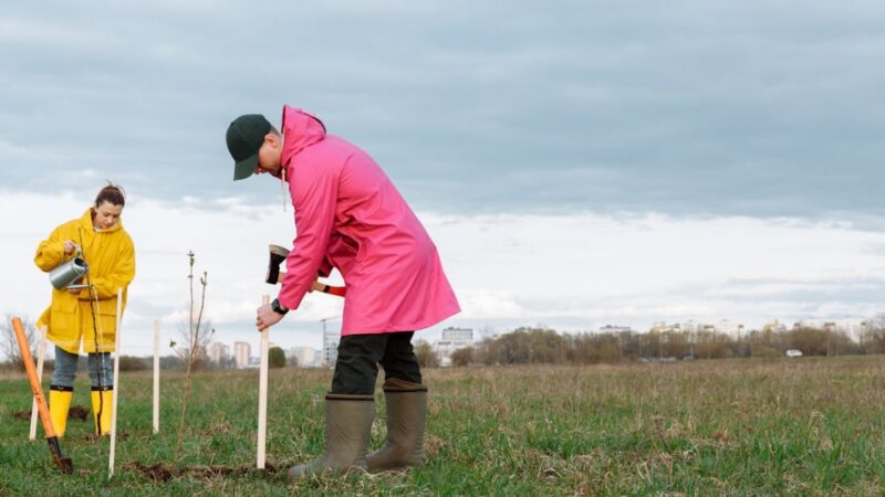 Rozpoczynają się zapisy na trzecią odsłonę ekologicznej inicjatywy #RośnijMY razem